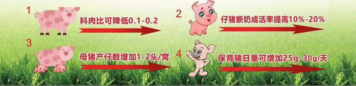 8d2069b5b15d24d99dbe6238ea19804.jpg