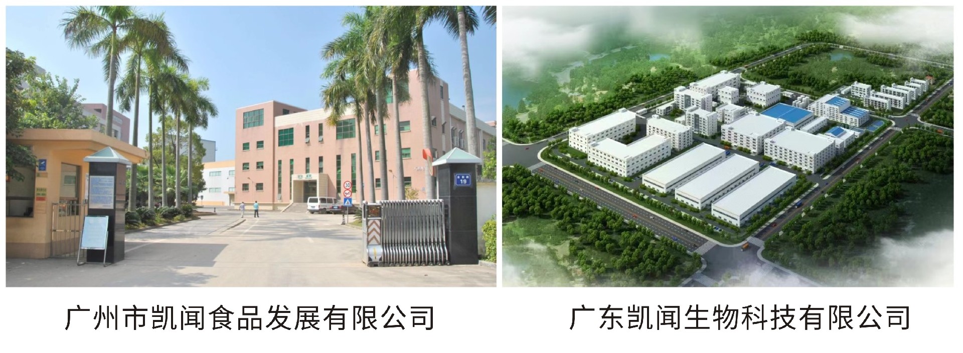工厂照.jpg